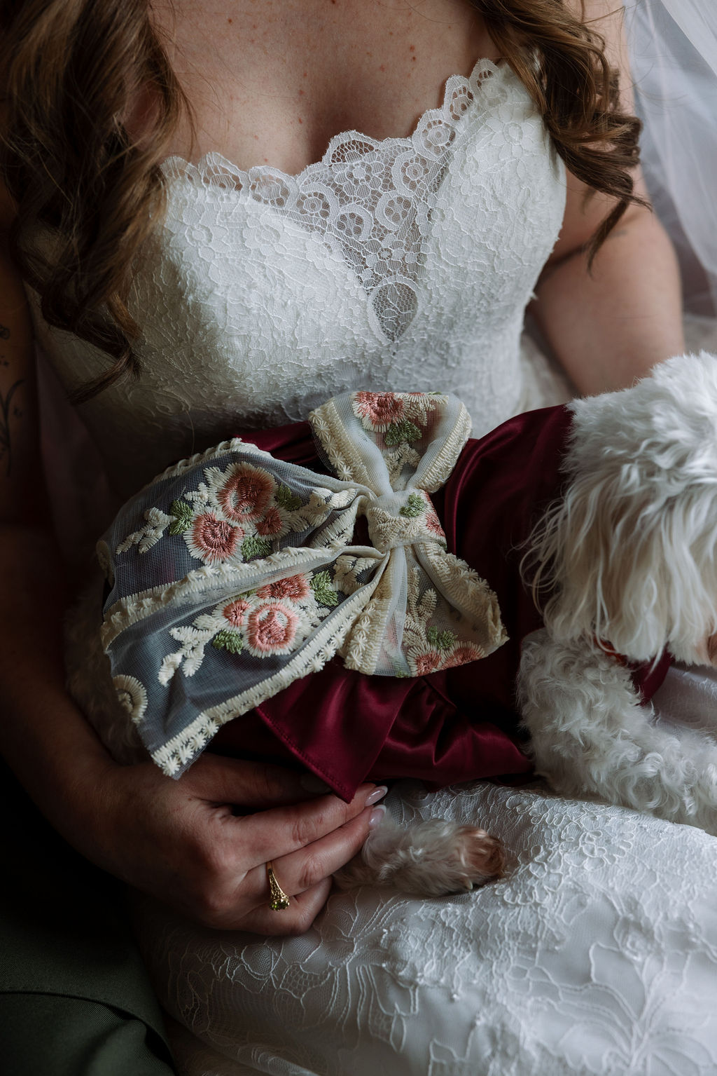Close-up of bride holding a small dog wrapped in a decorative fabric against a lace wedding dress