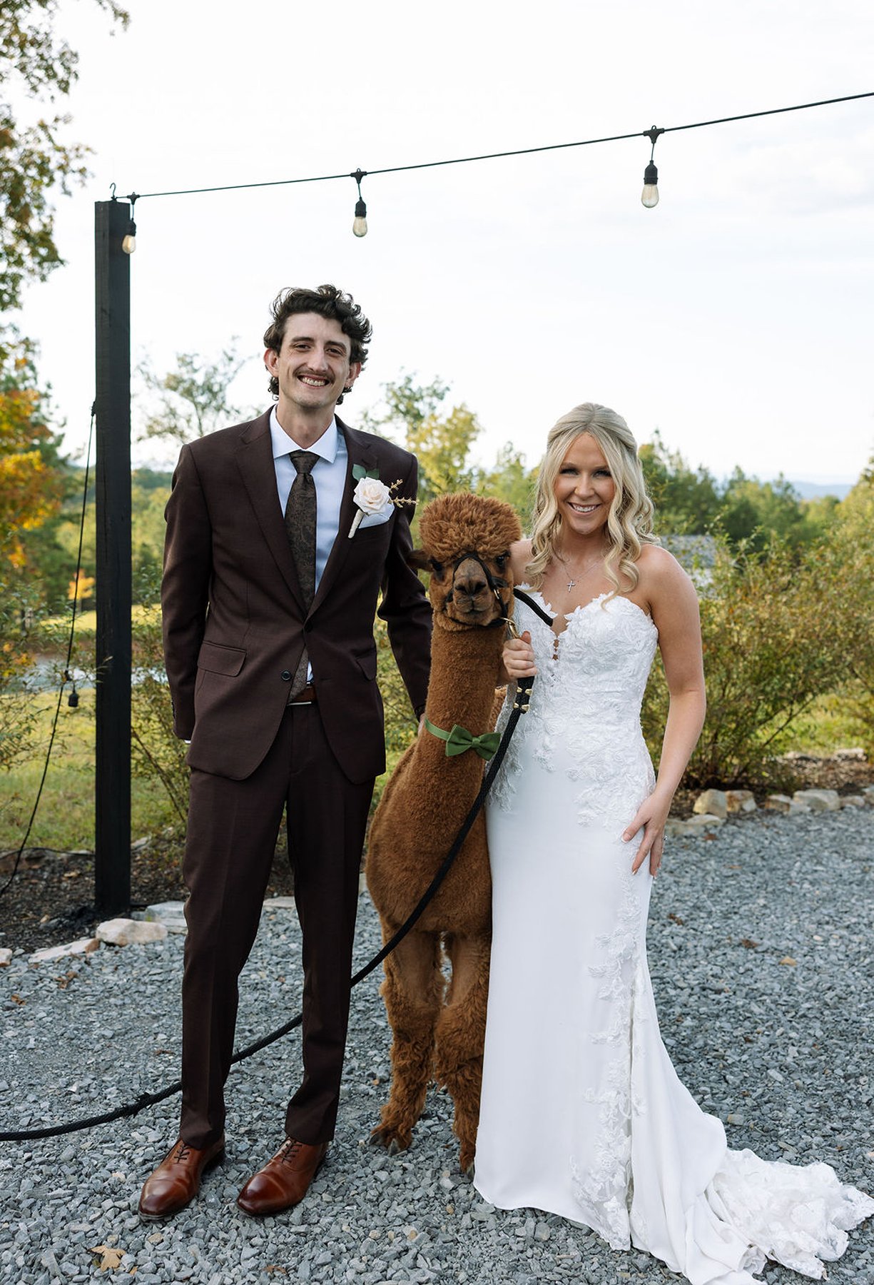 Tennessee wedding couple posing with alpaca during outdoor reception