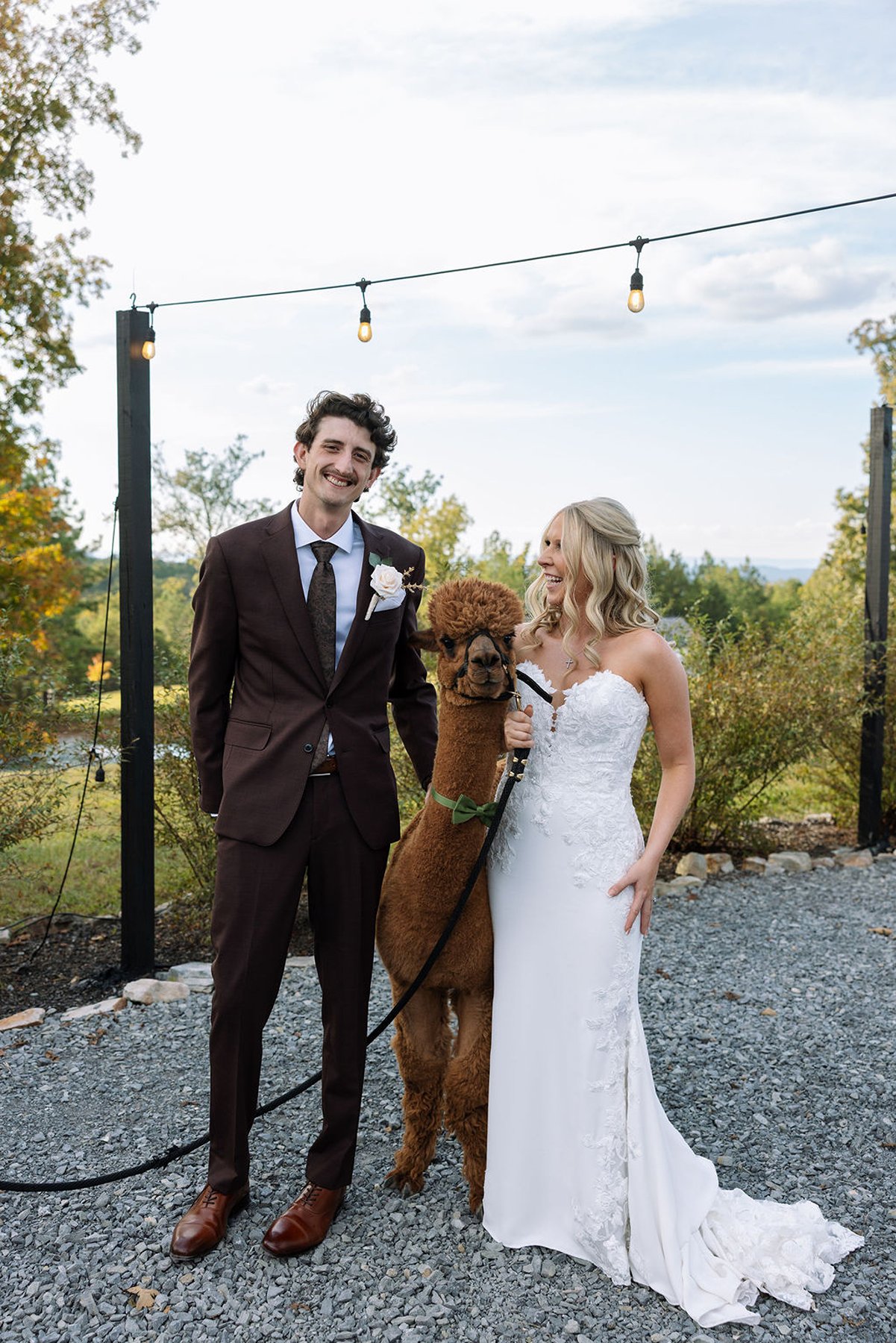 Bride and groom with alpaca during outdoor cocktail hour