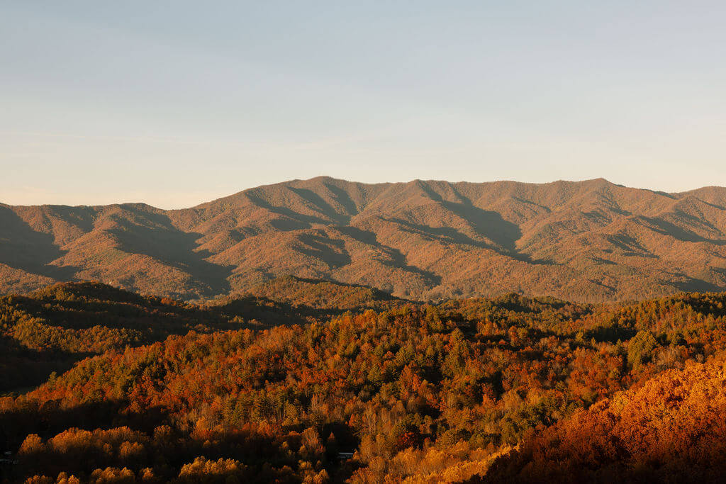 Panoramic view of the Smoky Mountains covered in orange and gold fall foliage beneath a clear sky.