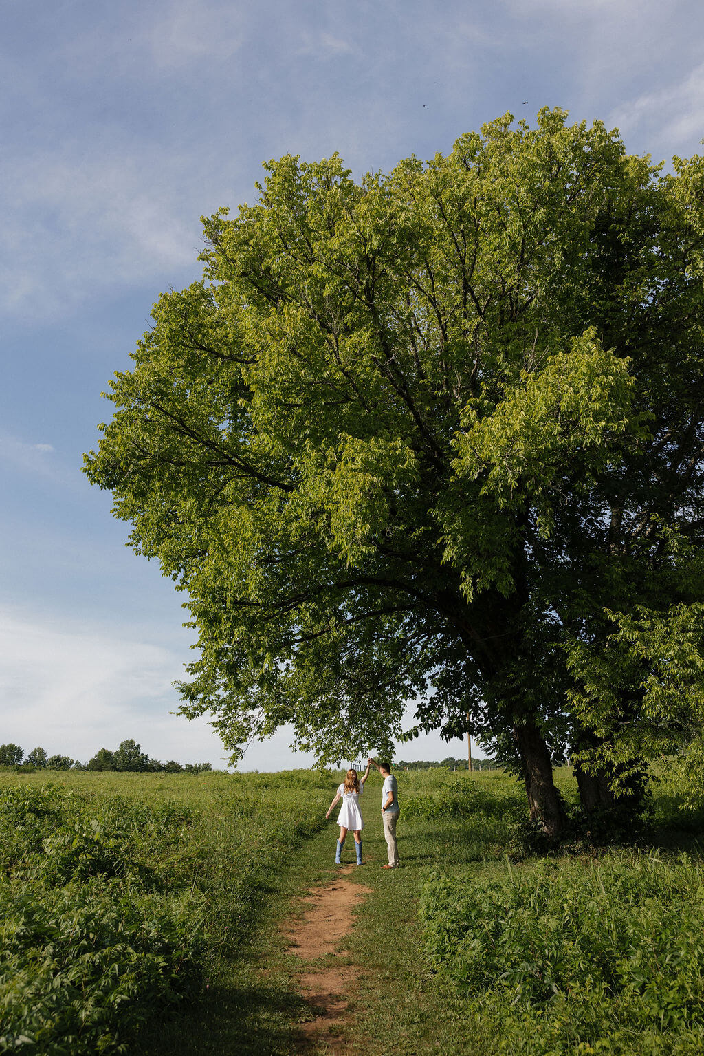 Couple walking along a narrow path beneath a large tree in a green summer field.