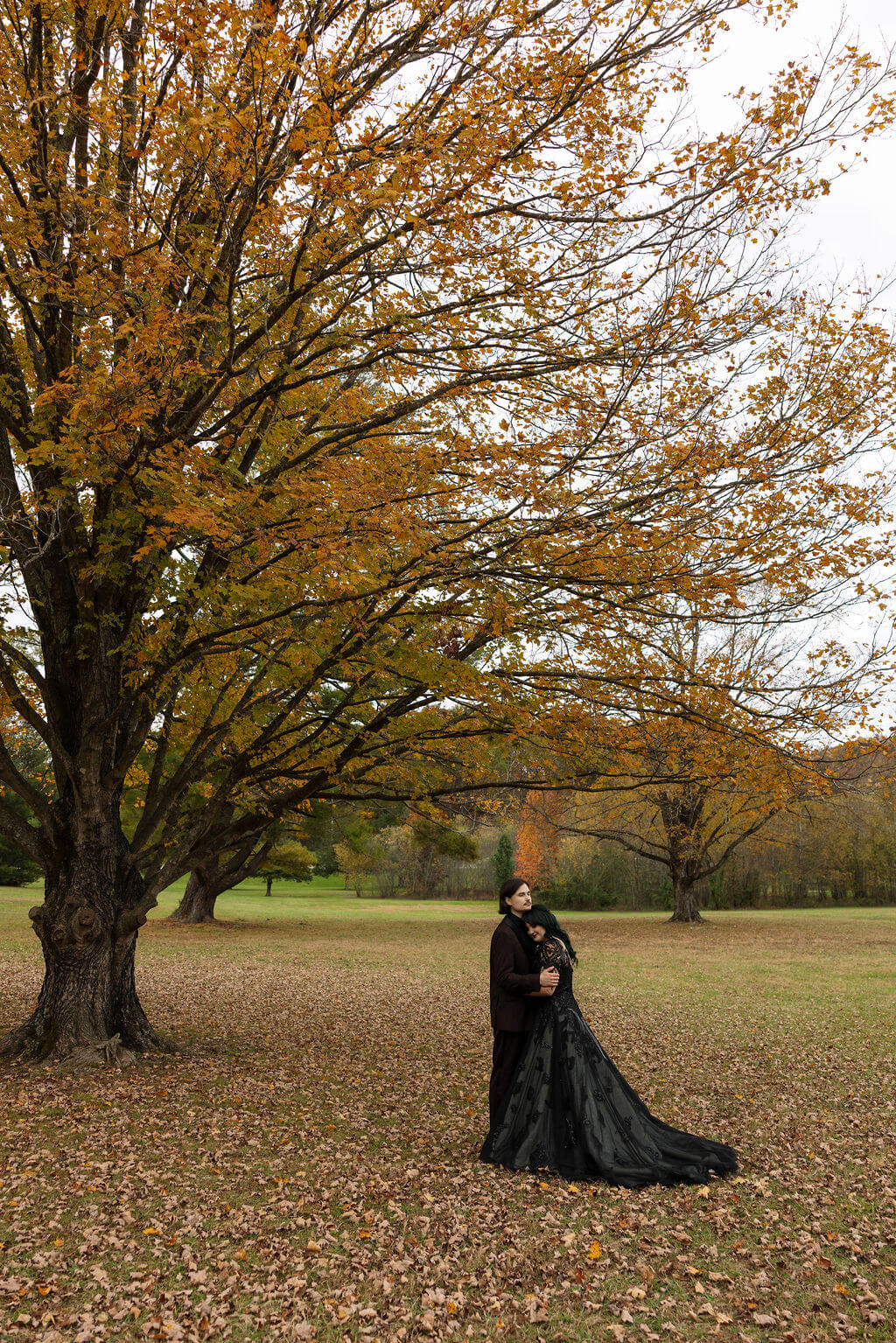 The couple embraces beneath a large golden autumn tree with the bride’s black dress trailing through the fallen leaves.