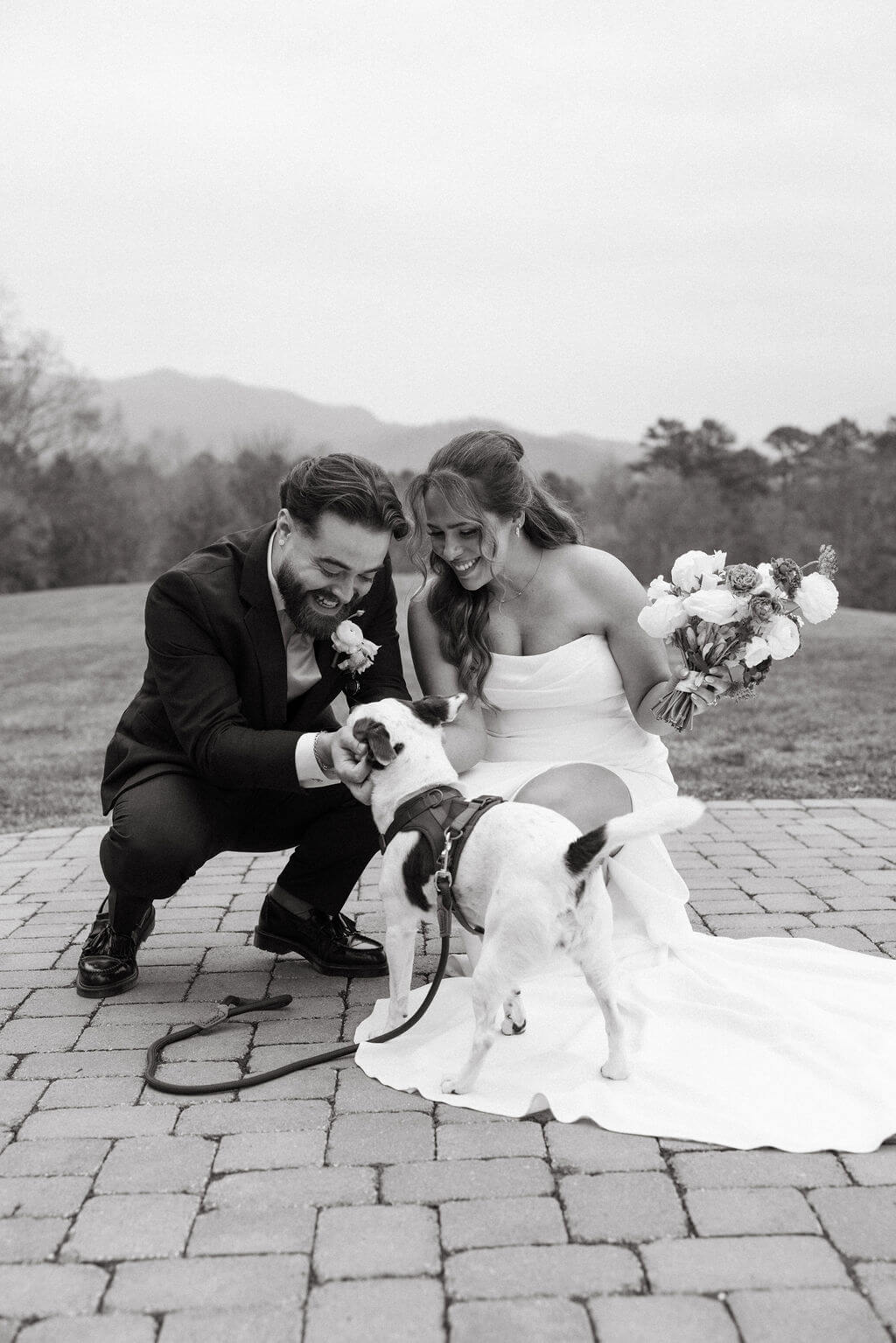 Black-and-white portrait of a bride and groom crouching beside their small dog with distant mountains behind them.