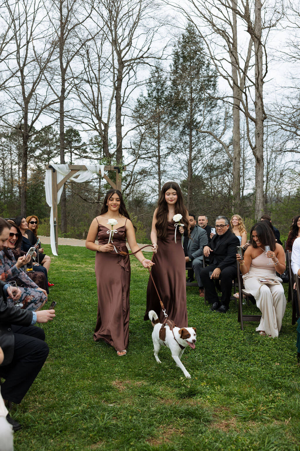 Small white and brown dog walks down the aisle during an outdoor wedding ceremony surrounded by seated guests.