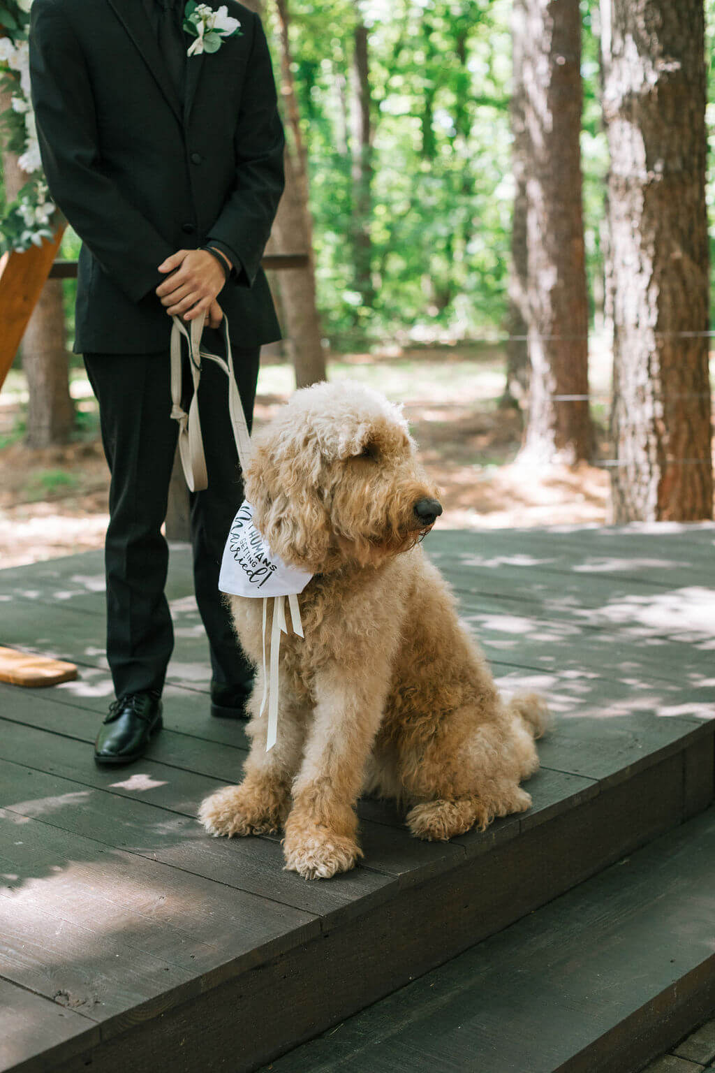 Fluffy tan dog sits on the wooden ceremony platform while a wedding party member holds the leash.