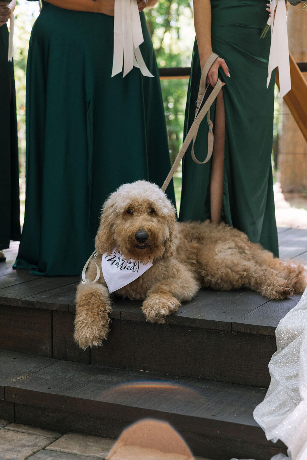 Fluffy tan dog relaxes on the ceremony steps beside a bridesmaid in a dark green dress.