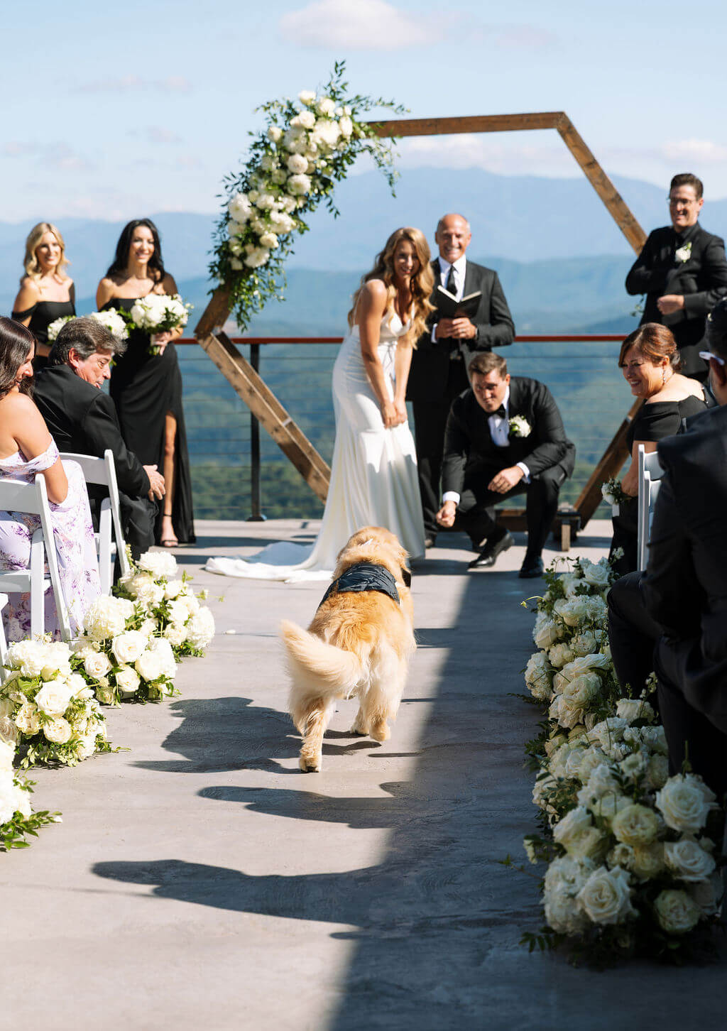 Golden retriever walks down the aisle toward the bride and groom during an outdoor mountain wedding ceremony.