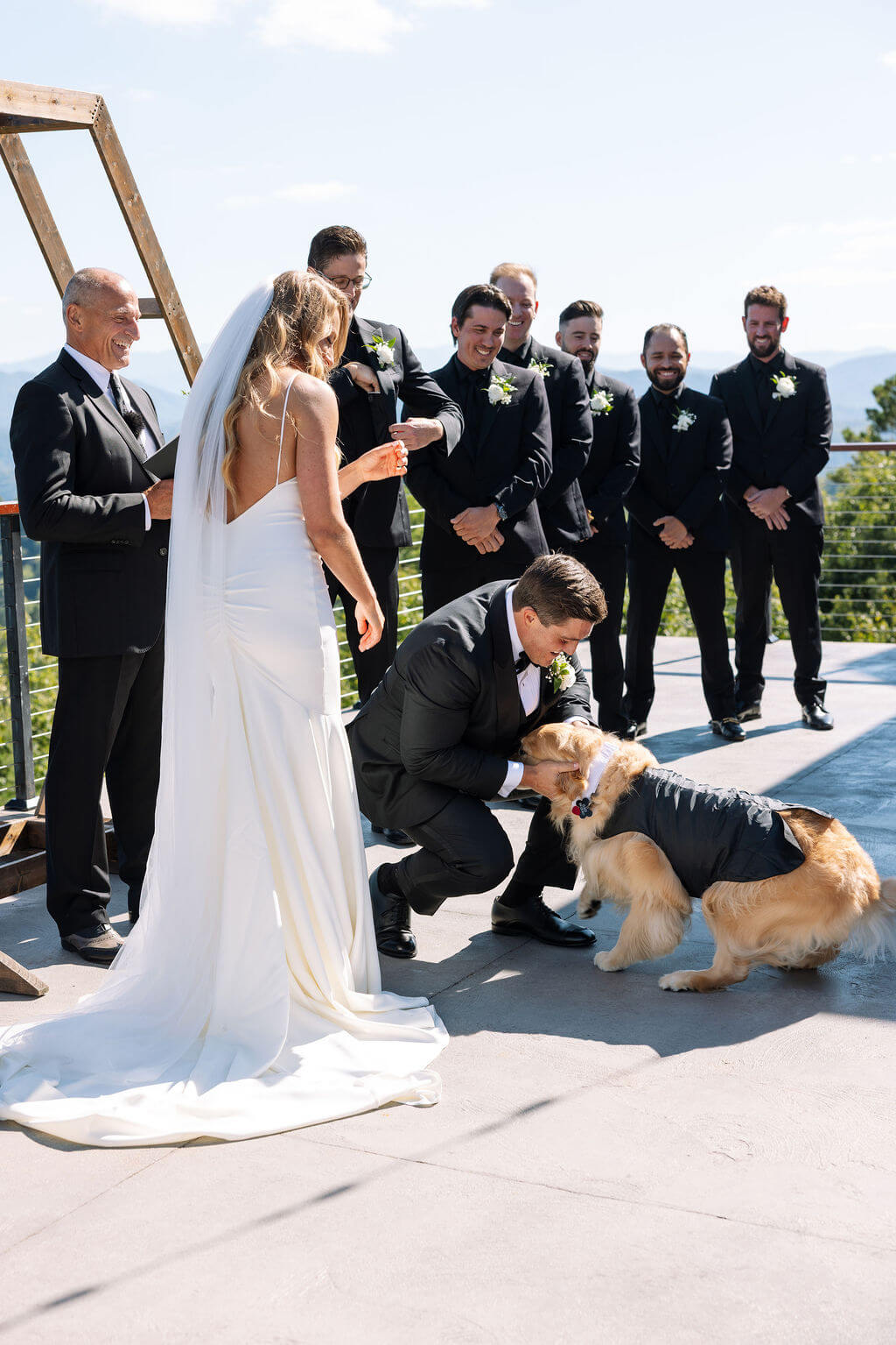 Bride pets a golden retriever during her outdoor wedding ceremony with the groom and wedding party gathered nearby.