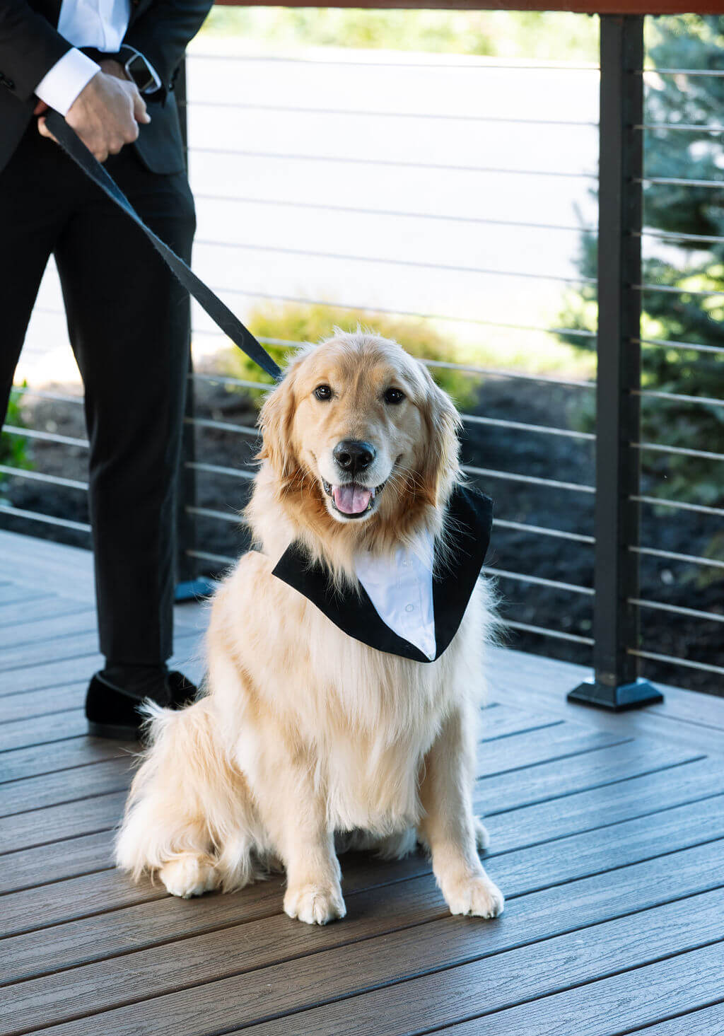 Golden retriever wearing a black wedding bandana sits on a wooden deck at an East Tennessee wedding venue.