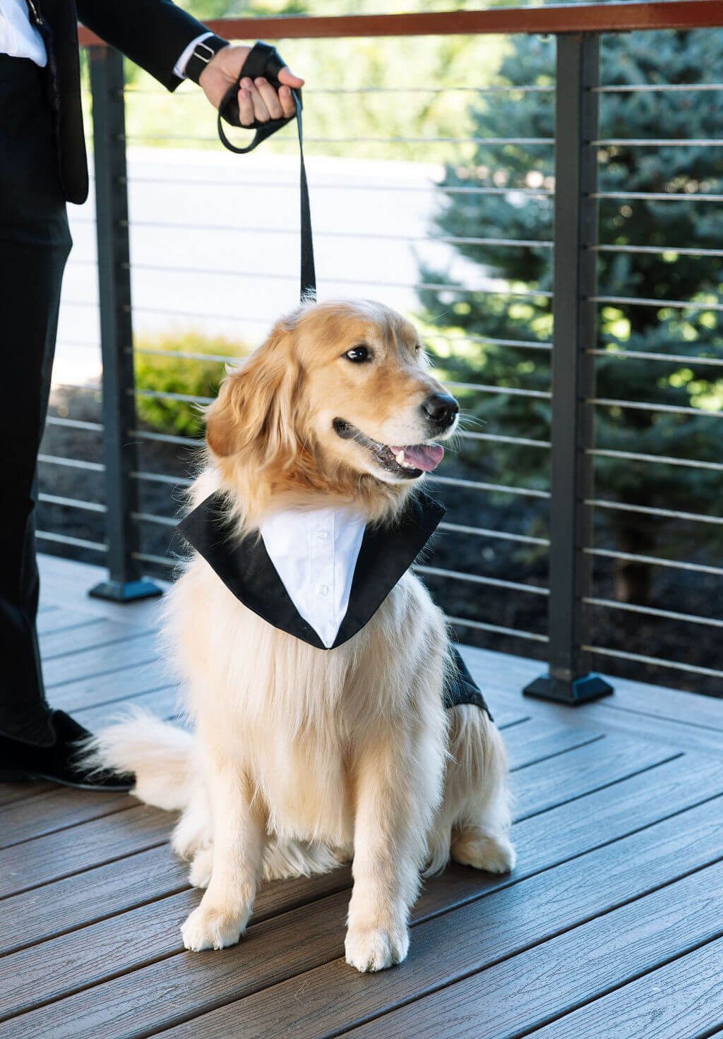 Golden retriever wearing a black wedding bandana sits on the deck of a mountain wedding venue.
