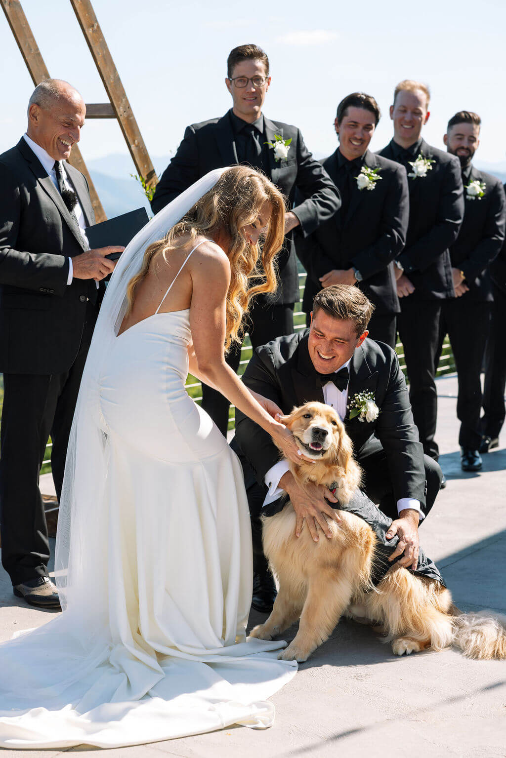 Bride pets a golden retriever during an outdoor mountain wedding ceremony while the wedding party looks on.