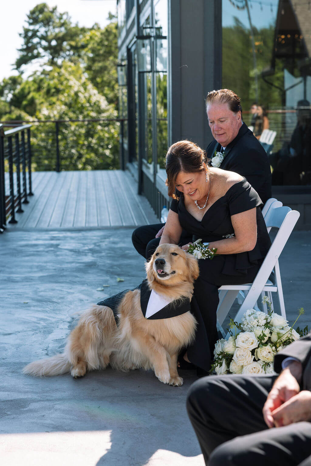 Wedding guest pets a golden retriever seated beside the aisle during an outdoor ceremony at a mountain venue.