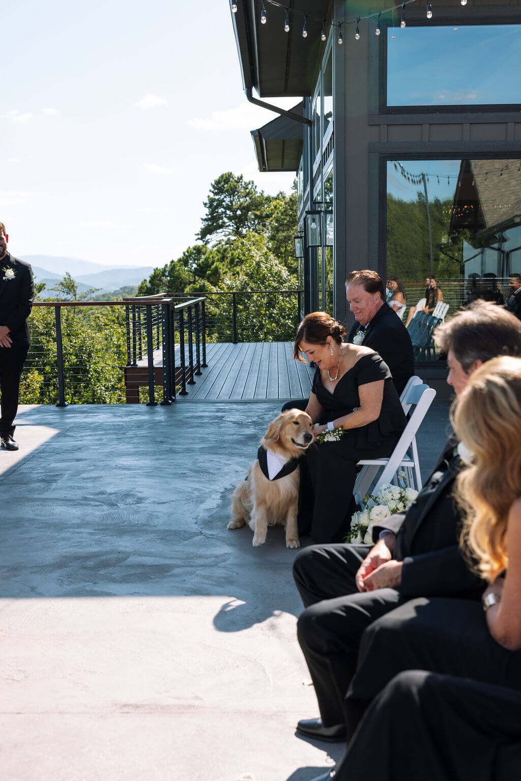 Guest pets a golden retriever seated beside the aisle during an outdoor mountain wedding ceremony.