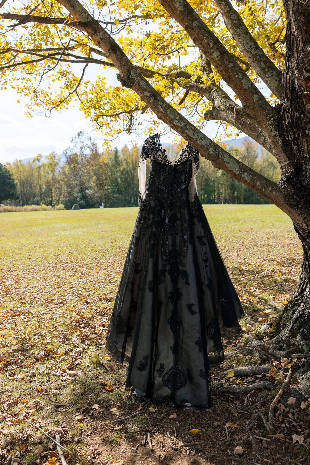 A black lace wedding dress hangs from a tree surrounded by golden fall leaves.